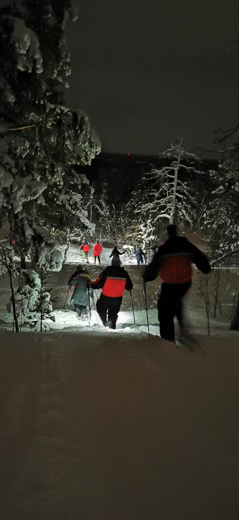 Sneeuwschoenwandelen